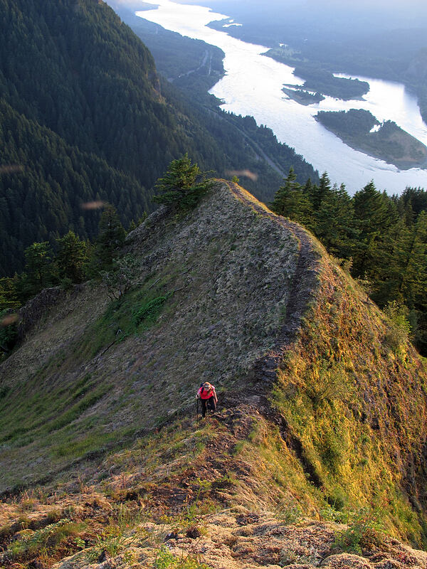 the last climb to Munra Point [Munra Point, John B. Yeon State Park, Multnomah County, Oregon]