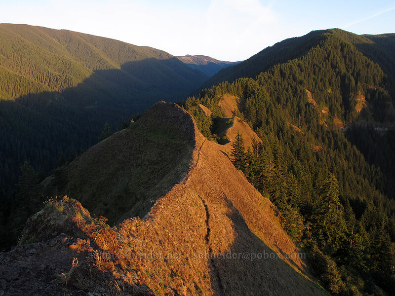 ridge south of Munra Point [Munra Point, John B. Yeon State Park, Multnomah County, Oregon]