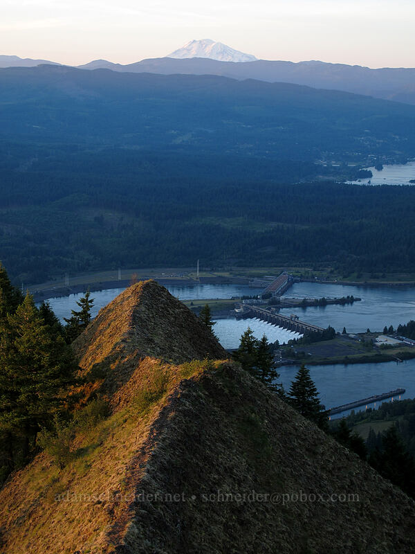 Mount Adams & Bonneville Dam [Munra Point, John B. Yeon State Park, Multnomah County, Oregon]