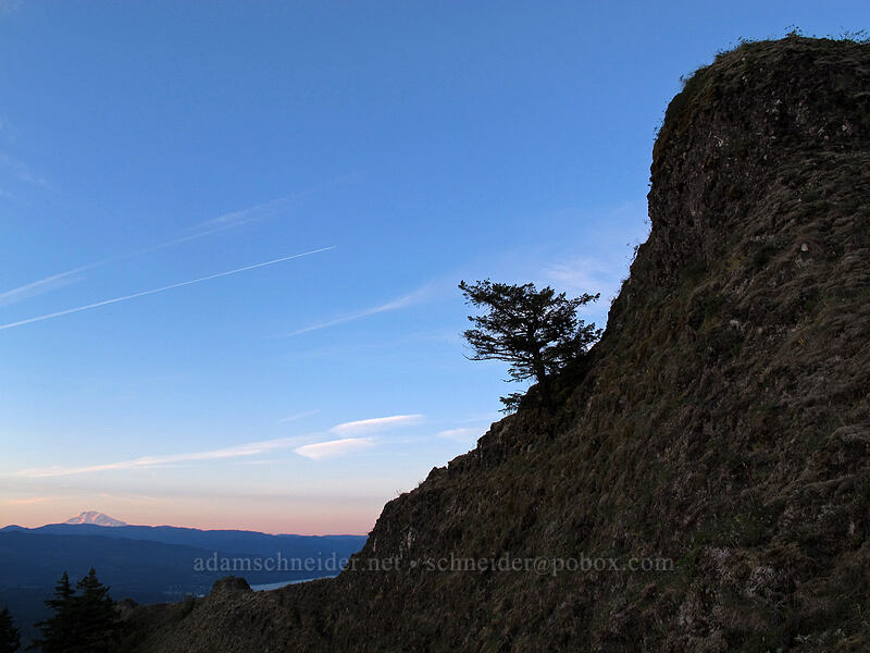 Munra Point & Mt. Adams [Munra Point, John B. Yeon State Park, Multnomah County, Oregon]