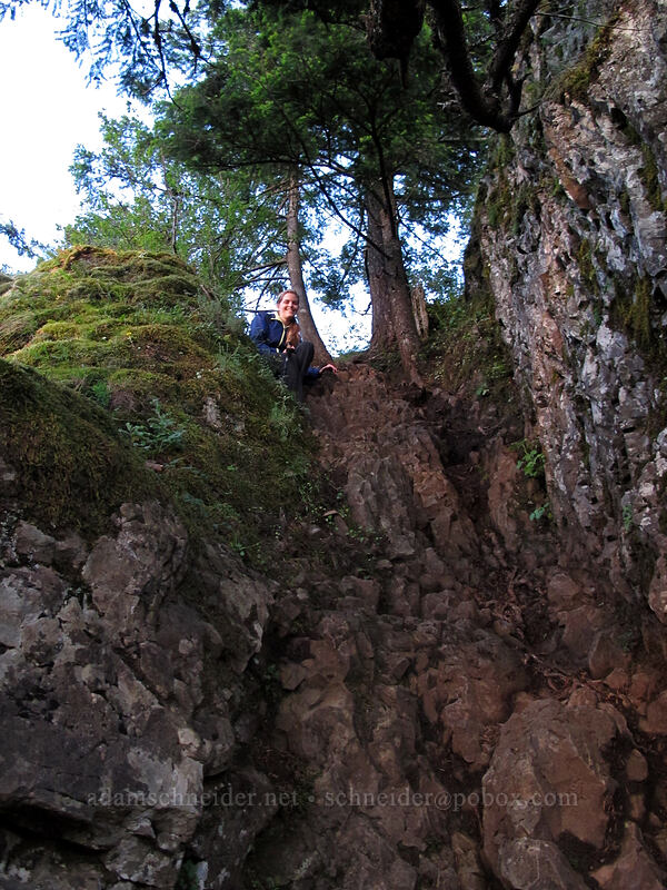 the steepest part of the trail [Munra Point Trail, John B. Yeon State Park, Multnomah County, Oregon]