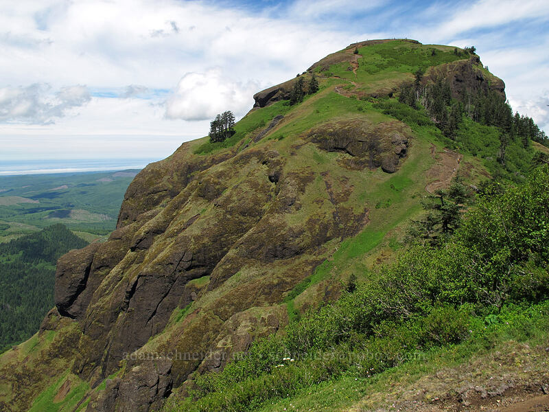 west peak of Saddle Mountain [Saddle Mountain Trail, Clatsop County, Oregon]