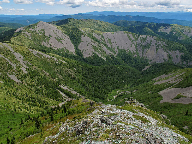 Little Baldy [Silver Star Mountain summit, Gifford Pinchot Nat'l Forest, Skamania County, Washington]