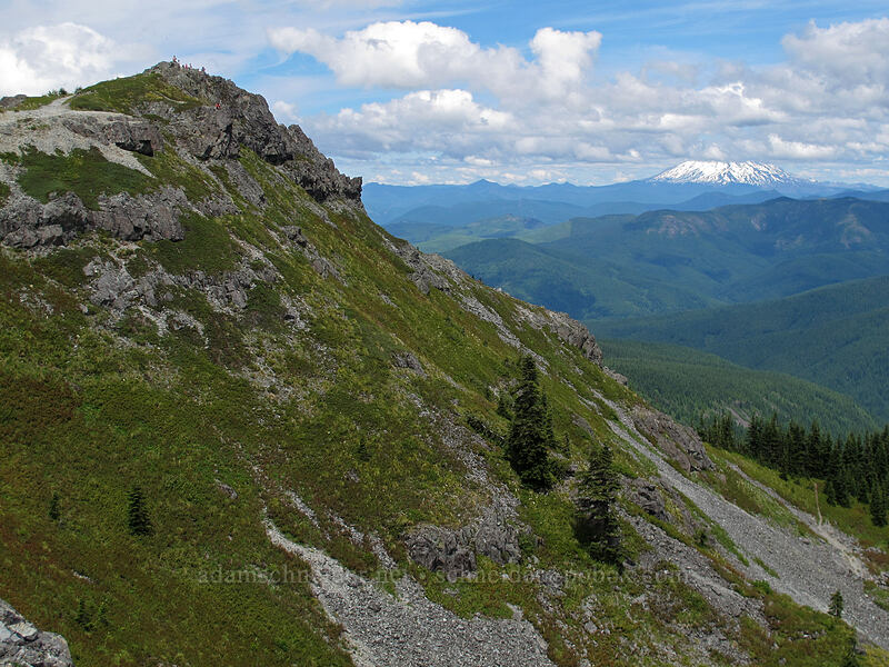 Silver Star's northern summit [Silver Star Mountain summit, Gifford Pinchot Nat'l Forest, Skamania County, Washington]