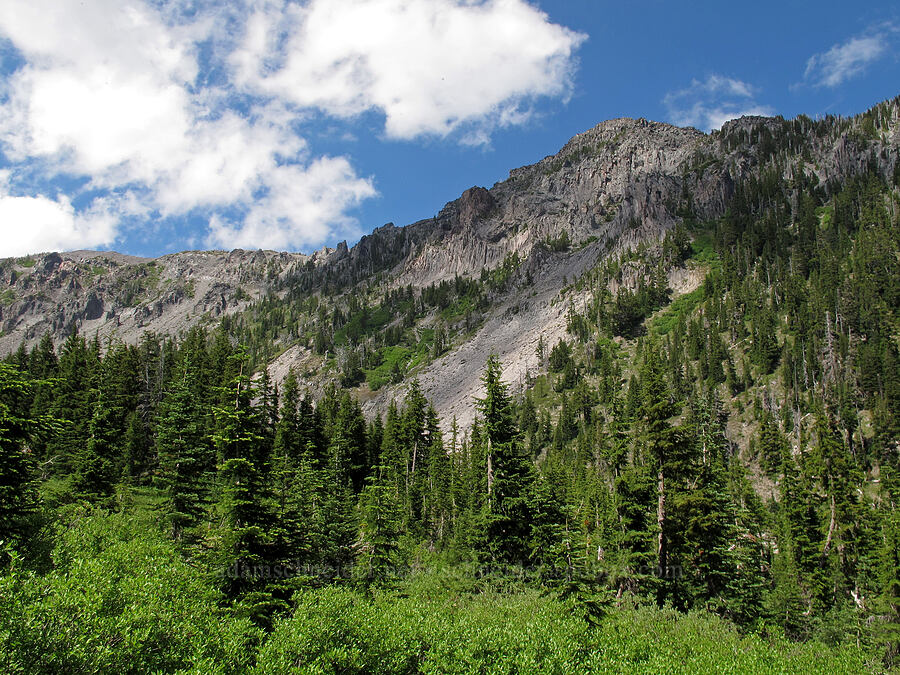 Gnarl Ridge & Lamberson Butte [Newton Creek Canyon, Mt. Hood Wilderness, Hood River County, Oregon]