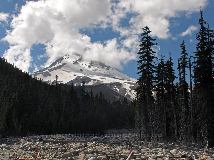 Mount Hood [Newton Creek Canyon, Mt. Hood Wilderness, Hood River County, Oregon]
