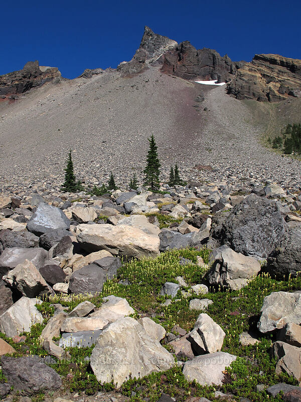 Mount Thielsen [Pacific Crest Trail, Mt. Thielsen Wilderness, Douglas County, Oregon]