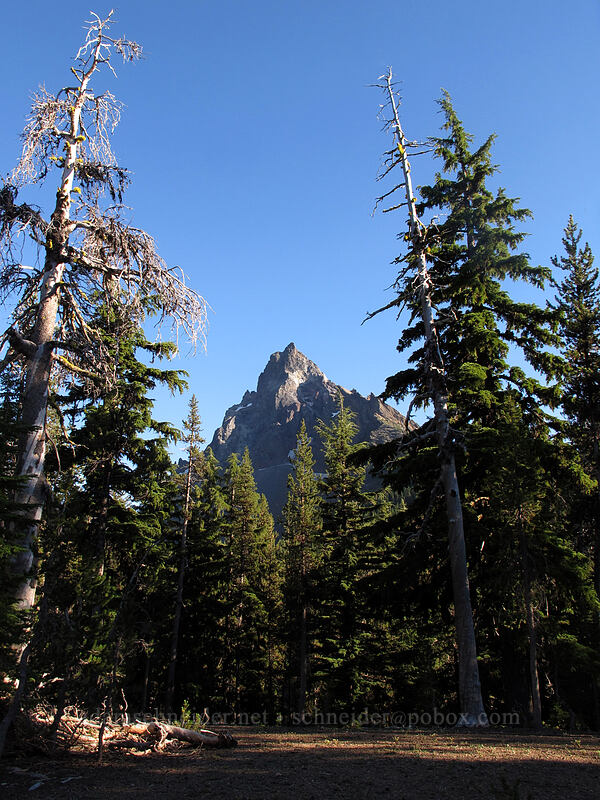 last view of Thielsen [Thielsen Creek Trail, Mt. Thielsen Wilderness, Douglas County, Oregon]
