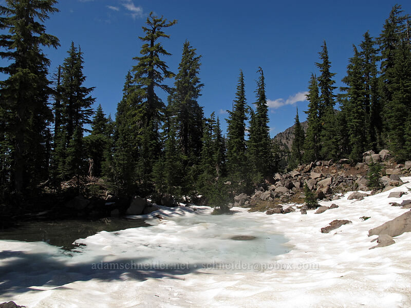 snow-covered pond [Pacific Crest Trail, Mt. Jefferson Wilderness, Linn County, Oregon]