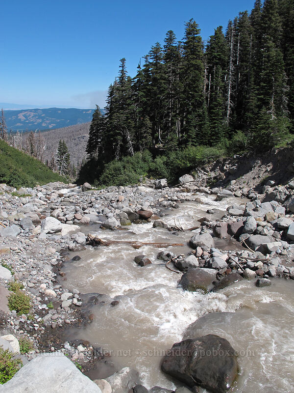 Coe Creek [Timberline Trail, Mt. Hood Wilderness, Hood River County, Oregon]