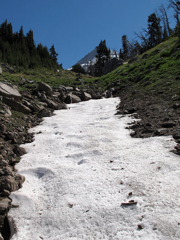 lingering snow [Elk Cove, Mt. Hood Wilderness, Hood River County, Oregon]