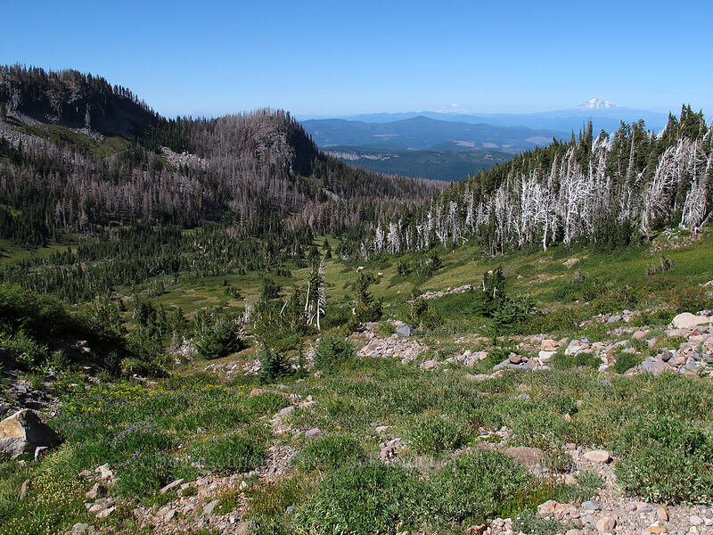 Elk Cove [Elk Cove, Mt. Hood Wilderness, Hood River County, Oregon]