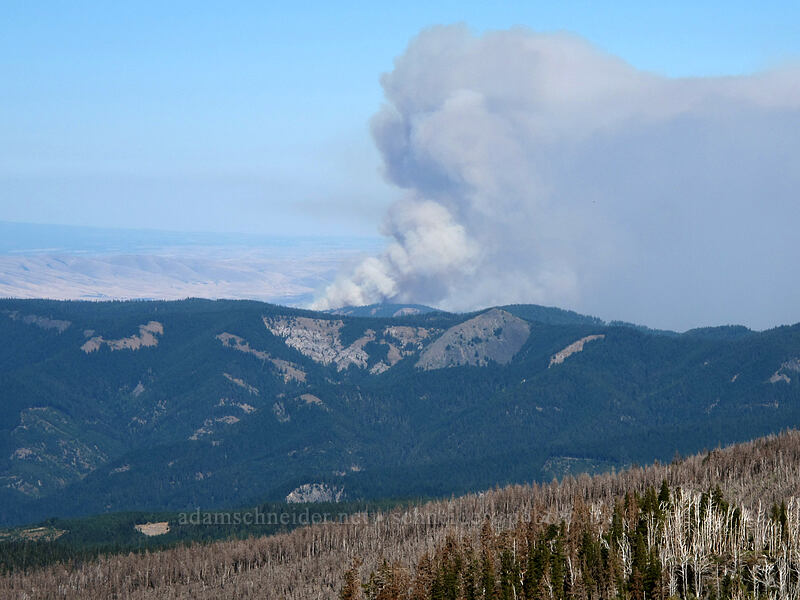 Government Flats Complex Fire [Elk Cove, Mt. Hood Wilderness, Hood River County, Oregon]