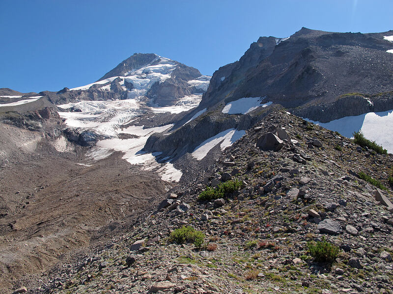Mount Hood, Coe Glacier, & Barrett Spur [Elk Cove, Mt. Hood Wilderness, Hood River County, Oregon]