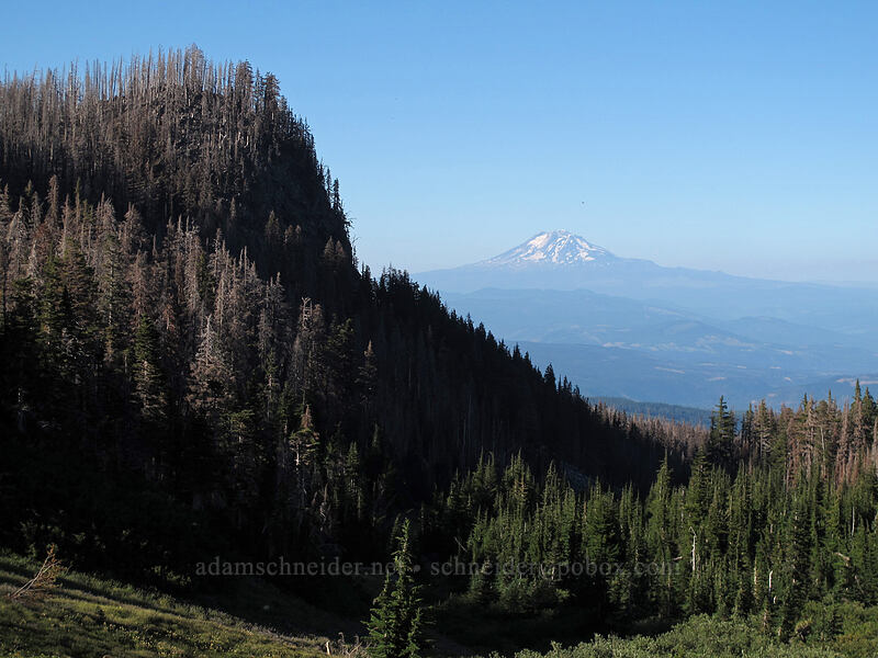 burned cliffs & Mount Adams [Elk Cove, Mt. Hood Wilderness, Hood River County, Oregon]