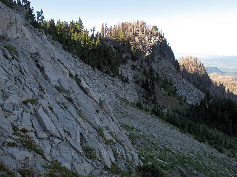 cliffs above Elk Cove [Elk Cove, Mt. Hood Wilderness, Hood River County, Oregon]