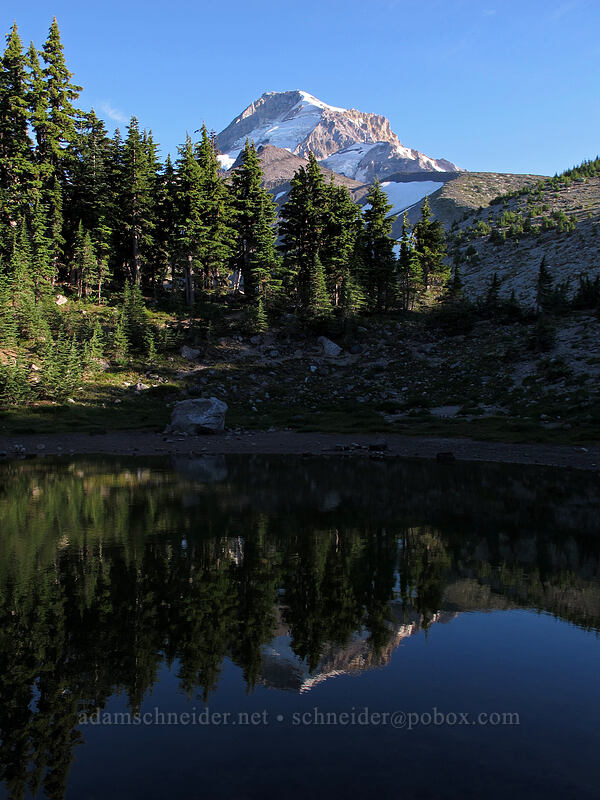 Mount Hood & Dollar Lake [Dollar Lake, Mt. Hood Wilderness, Hood River County, Oregon]