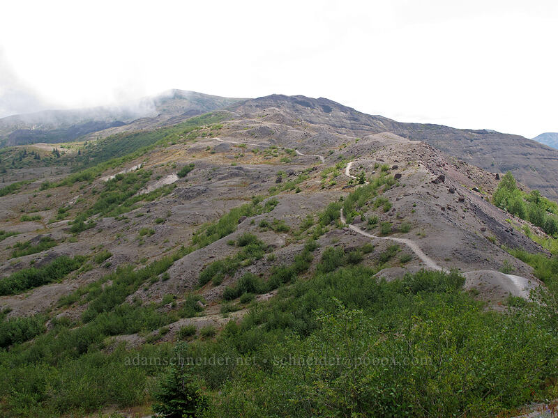 the trail [Boundary Trail, Mt. St. Helens National Volcanic Monument, Skamania County, Washington]