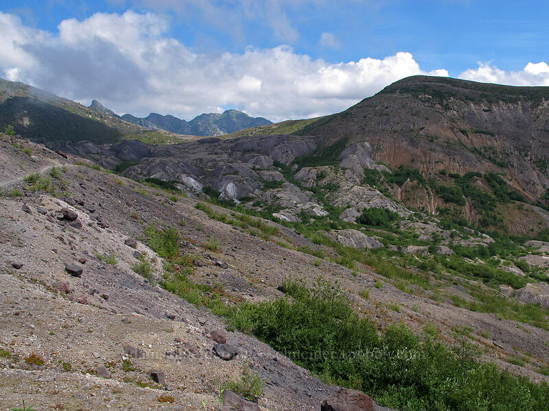 hummocks [Boundary Trail, Mt. St. Helens National Volcanic Monument, Skamania County, Washington]