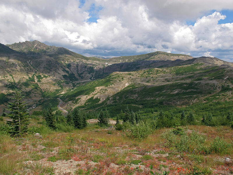 view to the northeast [Boundary Trail, Mt. St. Helens National Volcanic Monument, Skamania County, Washington]