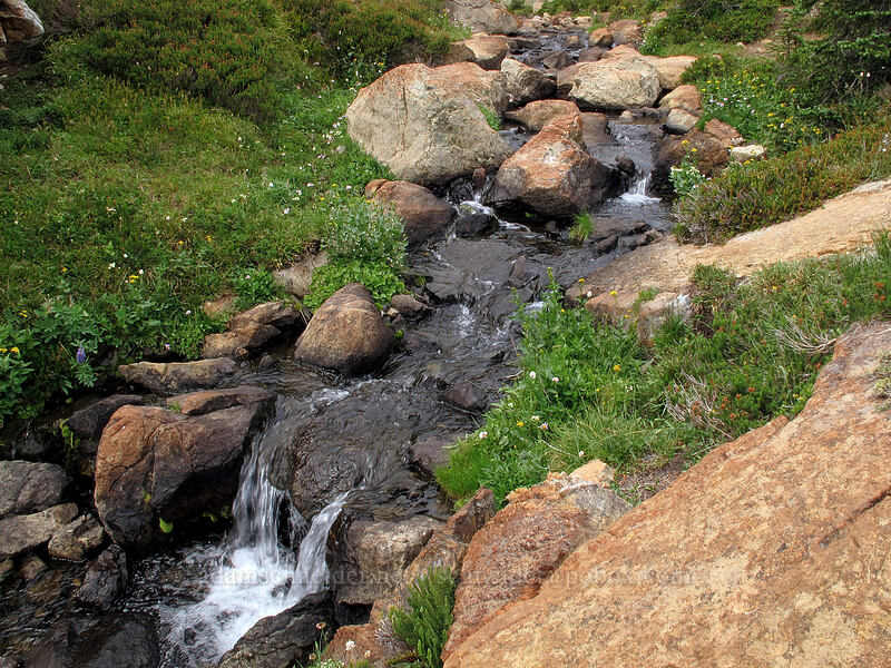 Ingalls Creek [Lake Ingalls, Alpine Lakes Wilderness, Chelan County, Washington]