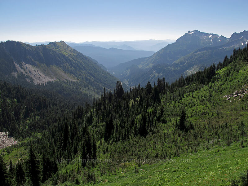 Stevens Canyon [Mazama Ridge, Mount Rainier National Park, Lewis County, Washington]