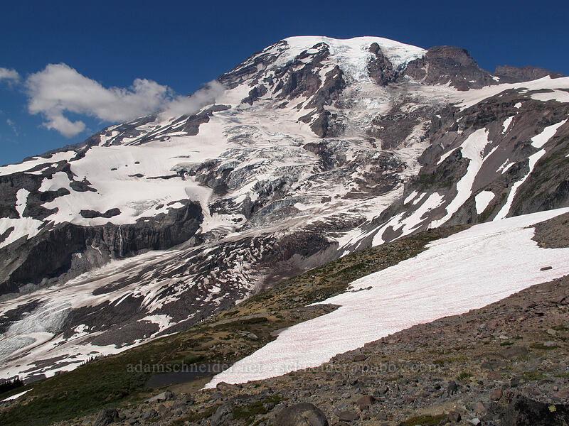 Mt. Rainier [Skyline Trail, Mount Rainier National Park, Pierce County, Washington]