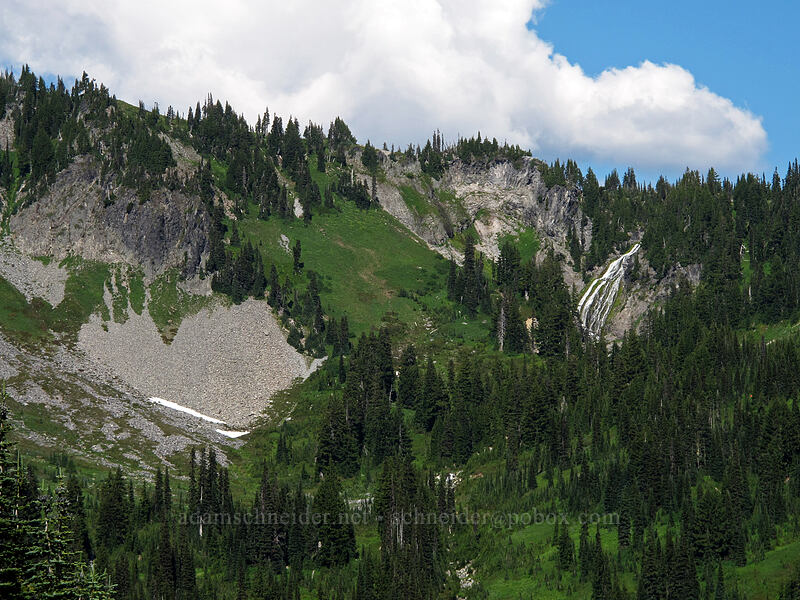 Sluiskin Falls [Paradise, Mount Rainier National Park, Pierce County, Washington]