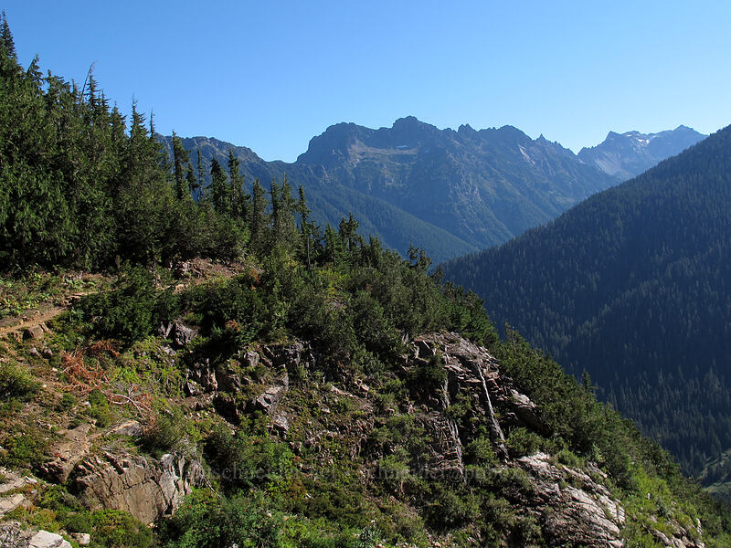 view to the northeast [Weden Creek Trail, Morning Star NRCA, Snohomish County, Washington]