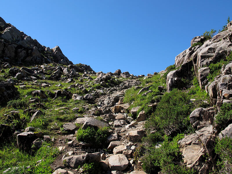 stairway to Gothic Basin [Gothic Basin, Morning Star NRCA, Snohomish County, Washington]
