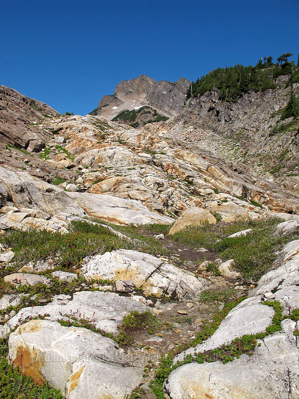 Gothic Basin [Gothic Basin, Morning Star NRCA, Snohomish County, Washington]