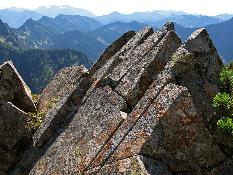 broken, angled rock [Gothic Peak, Morning Star NRCA, Snohomish County, Washington]