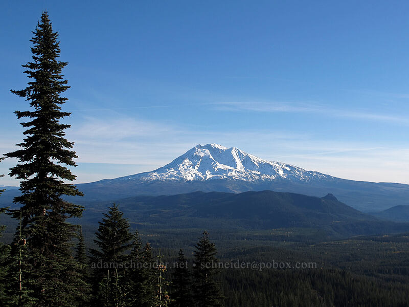 Mt. Adams & Sleeping Beauty [Cultus Creek Trail, Indian Heaven Wilderness, Skamania County, Washington]