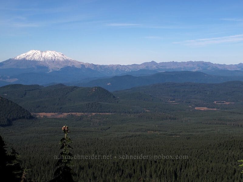 Mt. St. Helens & Mt. Margaret backcountry [Bird Mountain summit, Indian Heaven Wilderness, Skamania County, Washington]