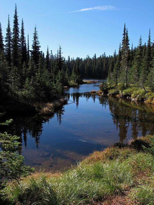 Lemei Lake [Indian Heaven Trail, Indian Heaven Wilderness, Skamania County, Washington]
