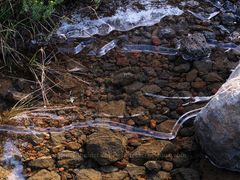 clear sheets of ice [Indian Heaven Trail, Indian Heaven Wilderness, Skamania County, Washington]