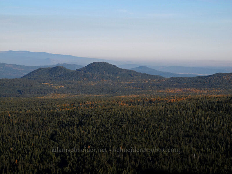 Flattop Mountain & distant fall colors [Cultus Creek Trail, Indian Heaven Wilderness, Skamania County, Washington]