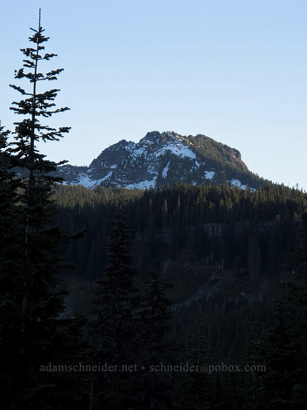 Lemei Rock [Cultus Creek Trail, Indian Heaven Wilderness, Skamania County, Washington]