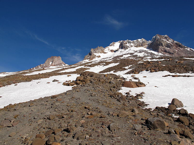 Mt. Hood [above Timberline Lodge, Mt. Hood National Forest, Clackamas County, Oregon]