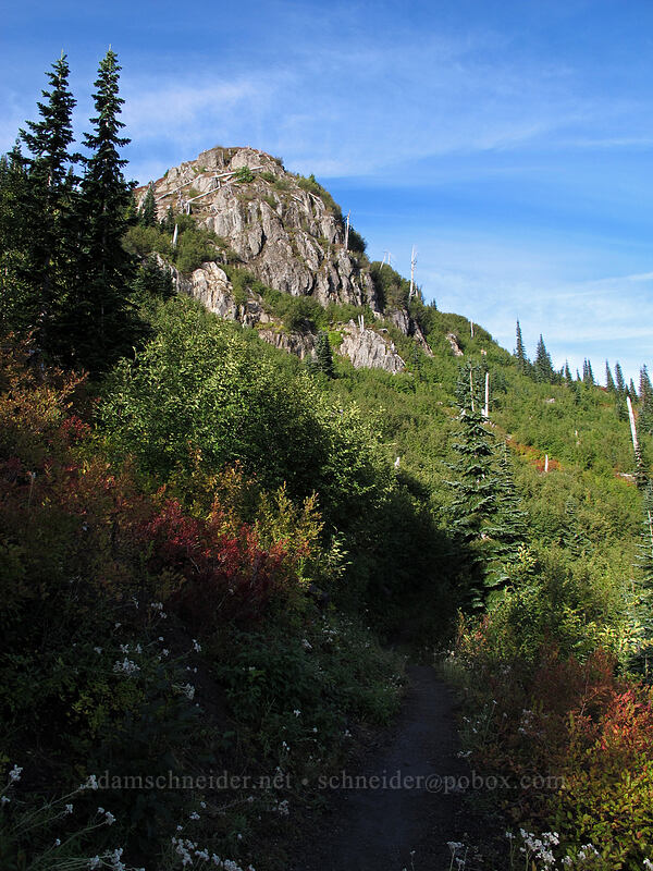 bluff above Norway Pass [Boundary Trail, Gifford Pinchot National Forest, Skamania County, Washington]
