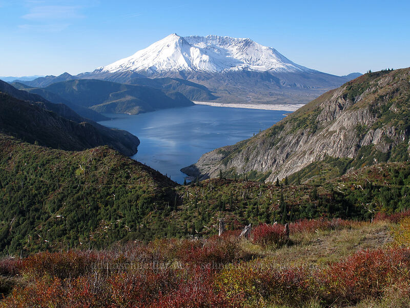 Mt. St. Helens & Spirit Lake [Bear Pass, Mt. St. Helens National Volcanic Monument, Skamania County, Washington]