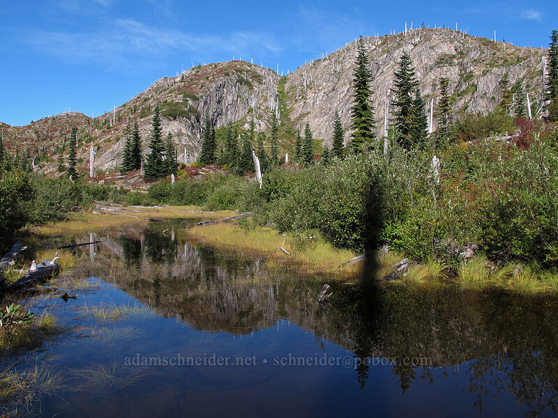 pond near Twin Lakes [Lakes Trail, Mt. St. Helens National Volcanic Monument, Skamania County, Washington]