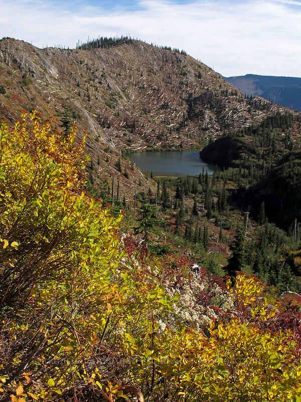 fall colors & Obscurity Lake (a.k.a. Twin Lakes) [Lakes Trail, Mt. St. Helens National Volcanic Monument, Skamania County, Washington]