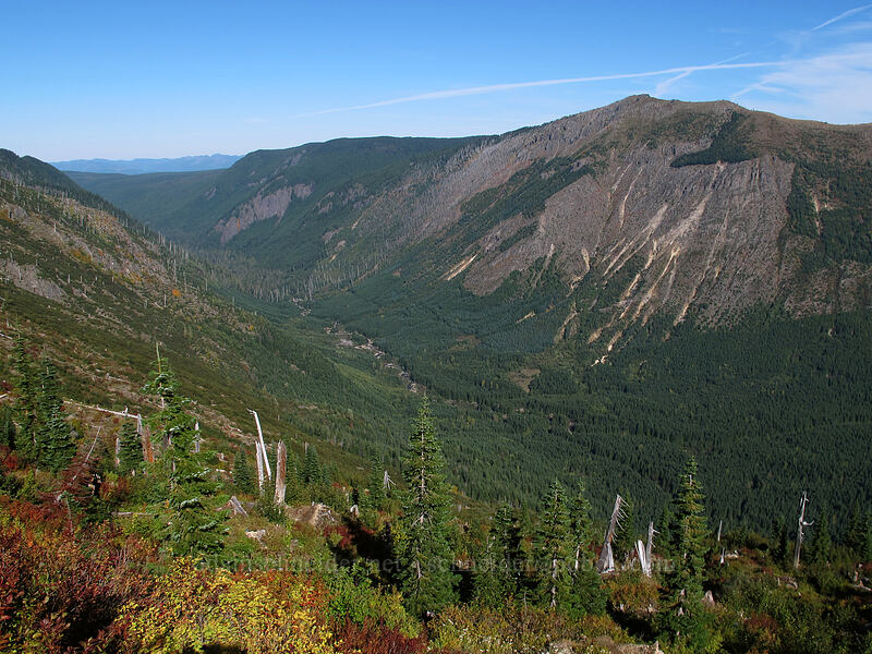 Goat Mountain & Green River [Lakes Trail, Mt. St. Helens National Volcanic Monument, Skamania County, Washington]