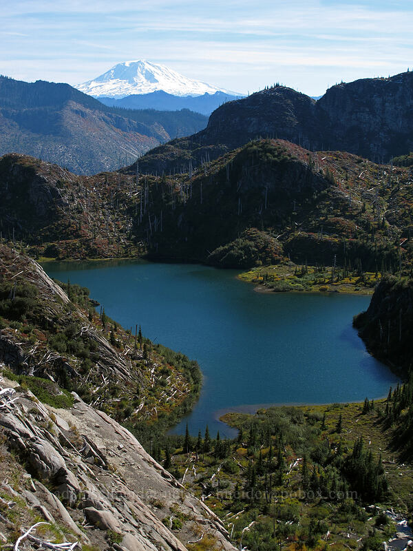 Mt. Adams & Panhandle Lake [Lakes Trail, Mt. St. Helens National Volcanic Monument, Skamania County, Washington]