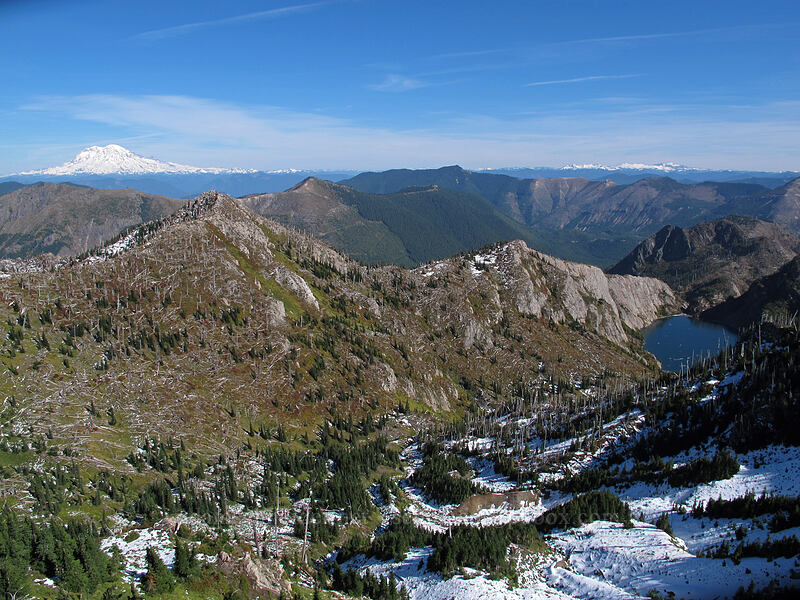 view to the northeast [Mt. Whittier Trail, Mt. St. Helens National Volcanic Monument, Skamania County, Washington]