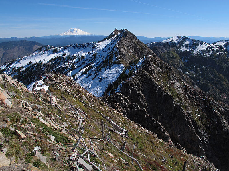Mt. Adams & Mt. Whittier [Mt. Whittier Trail, Mt. St. Helens National Volcanic Monument, Skamania County, Washington]