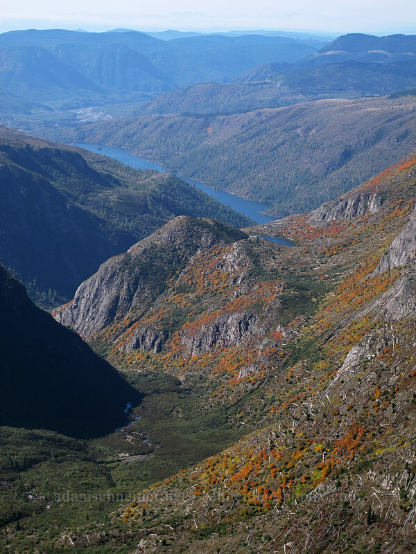 fall colors in Coldwater Valley [Mt. Whittier Trail, Mt. St. Helens National Volcanic Monument, Skamania County, Washington]