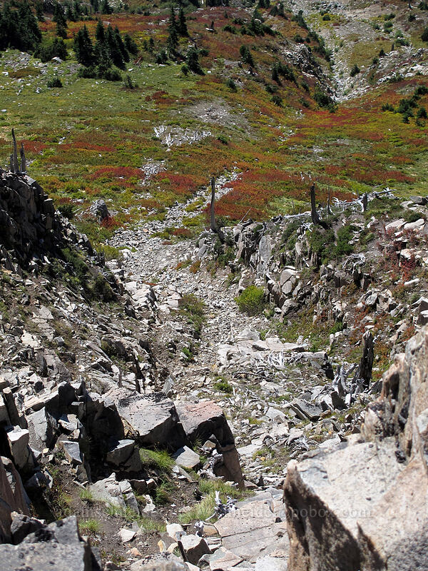 rocky debris & fall colors below the trail [Mt. Whittier Trail, Mt. St. Helens National Volcanic Monument, Skamania County, Washington]