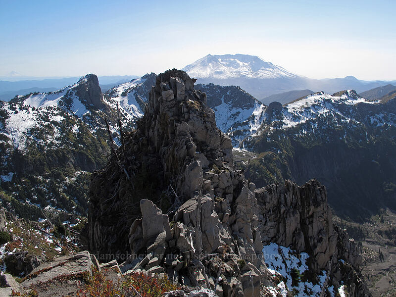 view to the south [Mt. Whittier summit, Mt. St. Helens National Volcanic Monument, Skamania County, Washington]